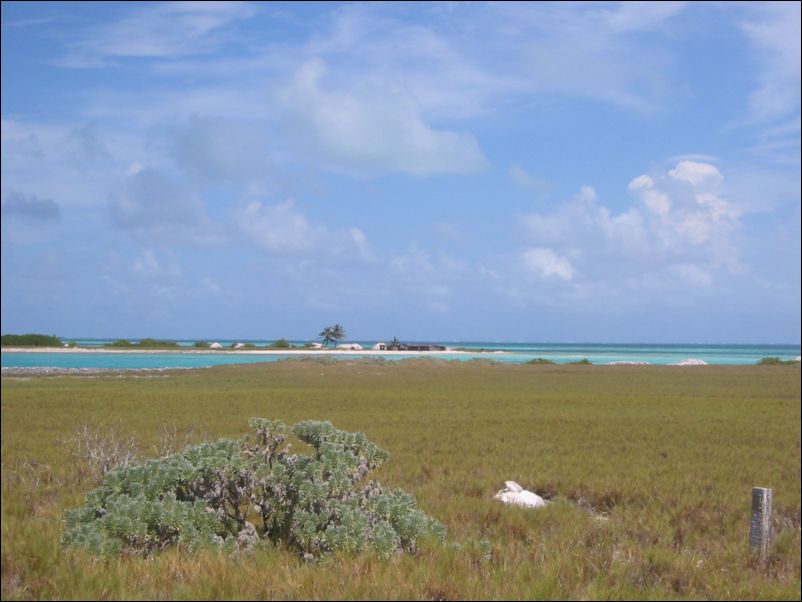 Seiltur til Aruba