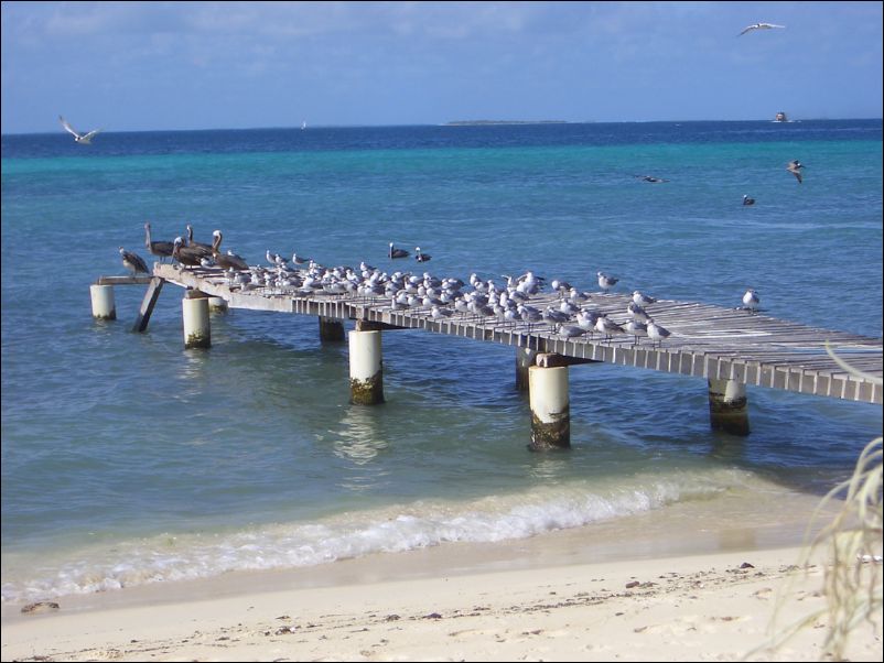 Los Roques – Bonaire