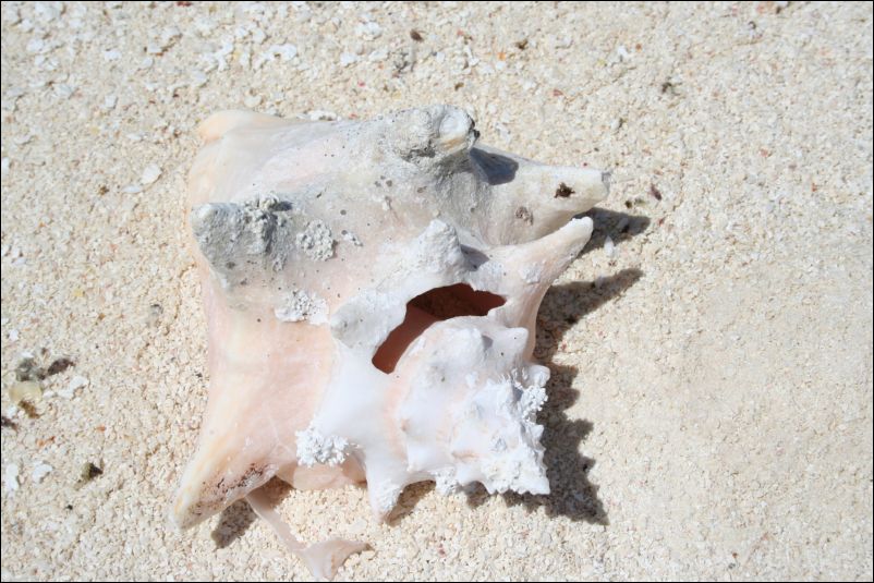 Los Roques – Bonaire