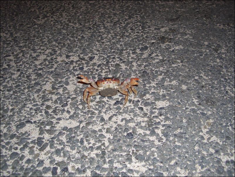 Trinidad & Tobago